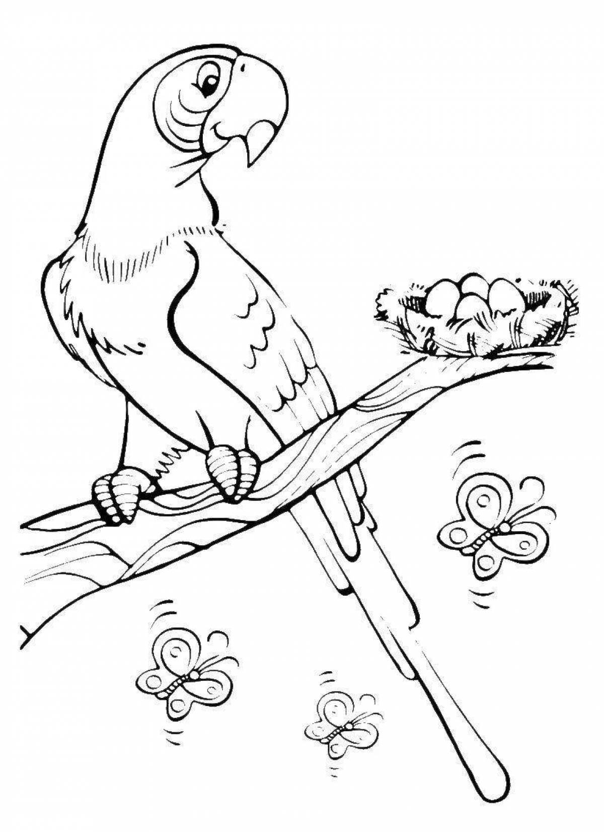 Adorable parrot coloring book for children 6-7 years old