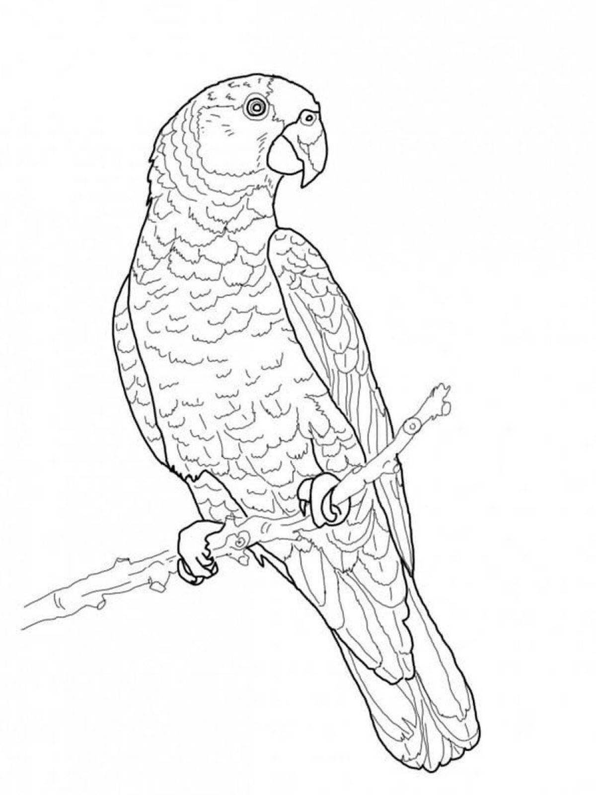 Incredible parrot coloring book for kids 6-7 years old