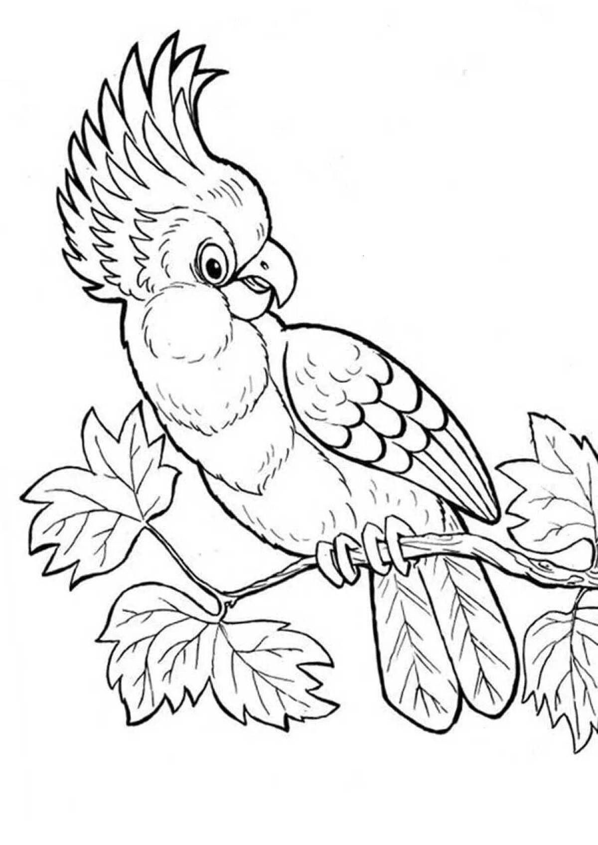 Раскраска блестящий попугай для детей 6-7 лет