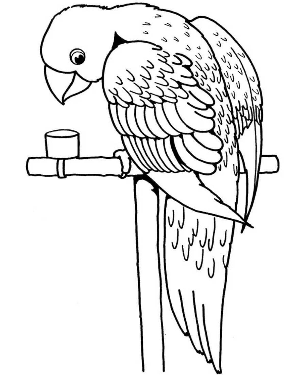 Coloring page dazzling parrot for children 6-7 years old