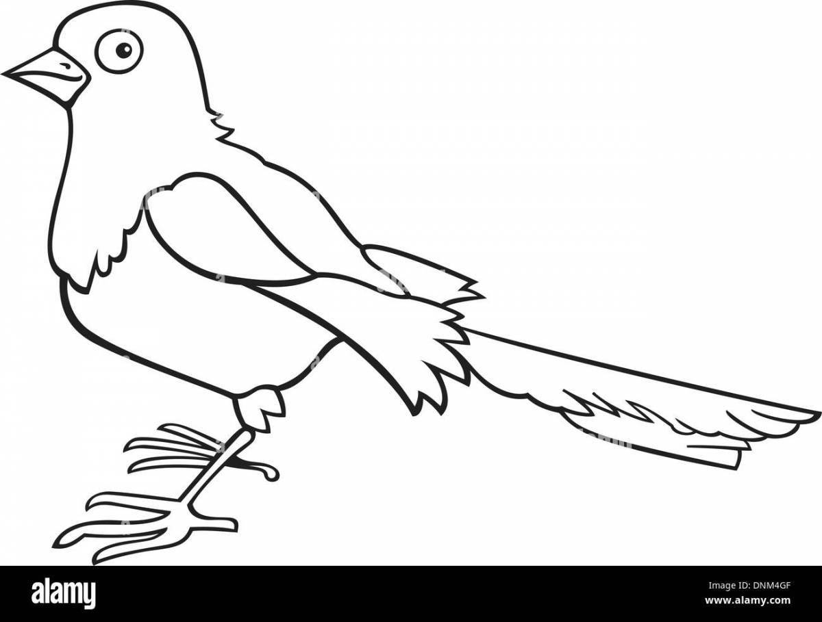 Playful magpie coloring book for 3-4 year olds