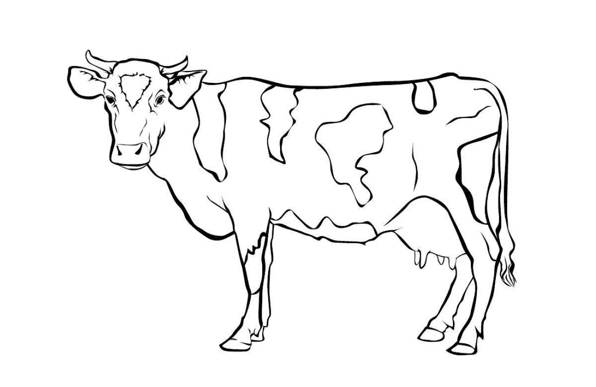 Coloring page energetic cow for children 4-5 years old