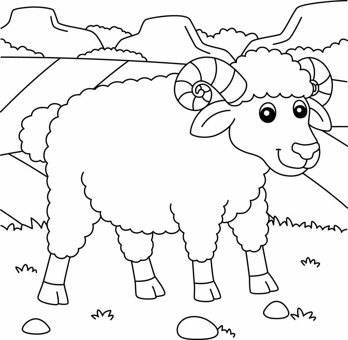 Fun coloring sheep for 4-5 year olds