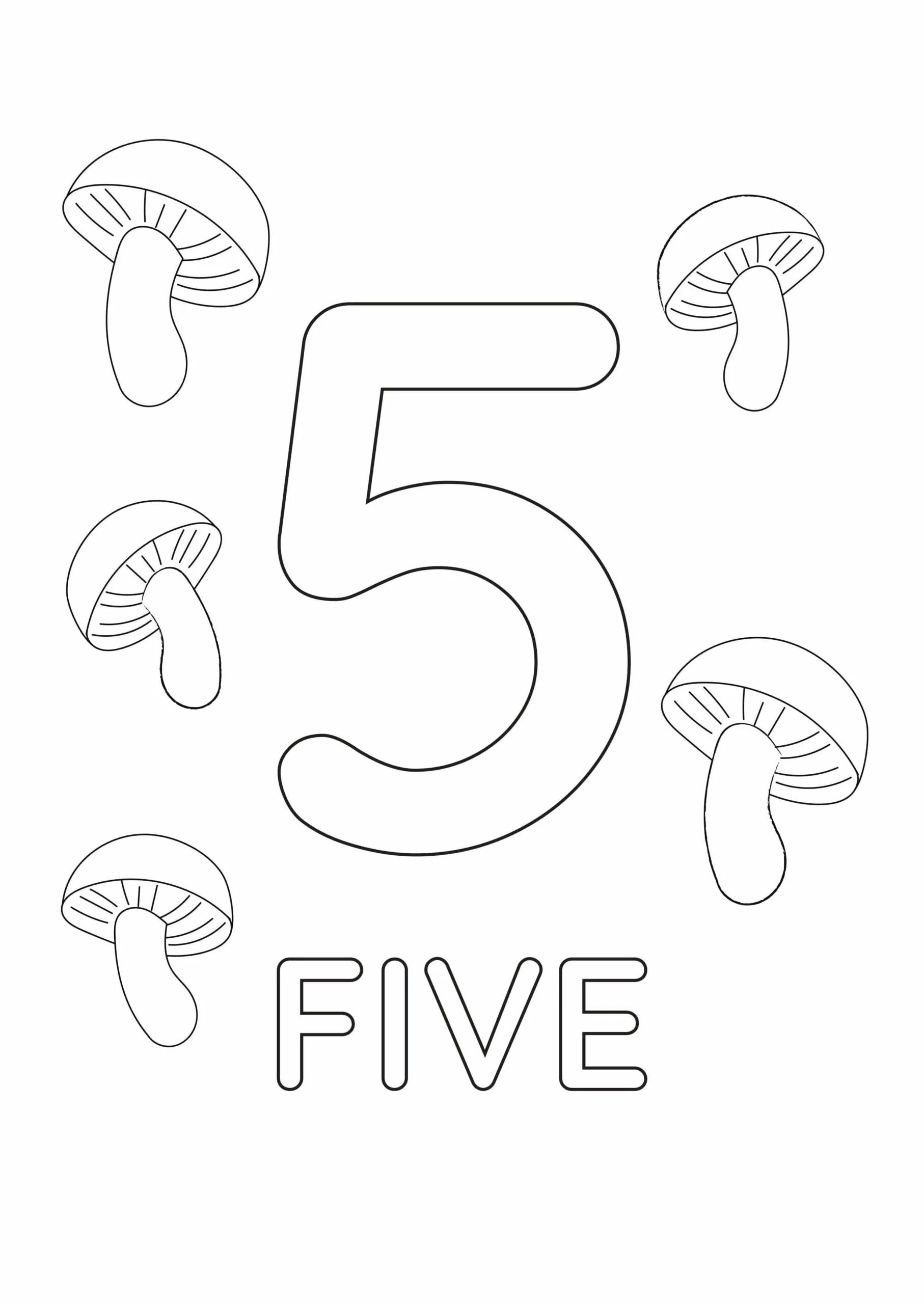 Fun coloring book with English numbers in English for kids