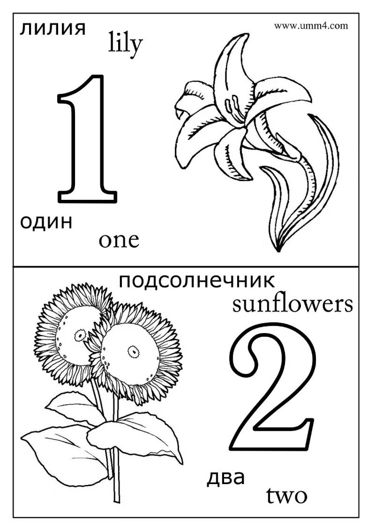 Joyful english number coloring pages for kids