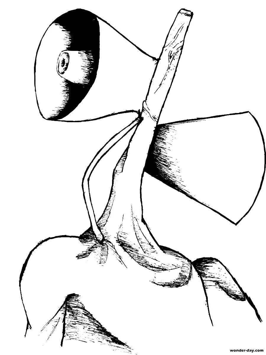 Рисунки серено головного