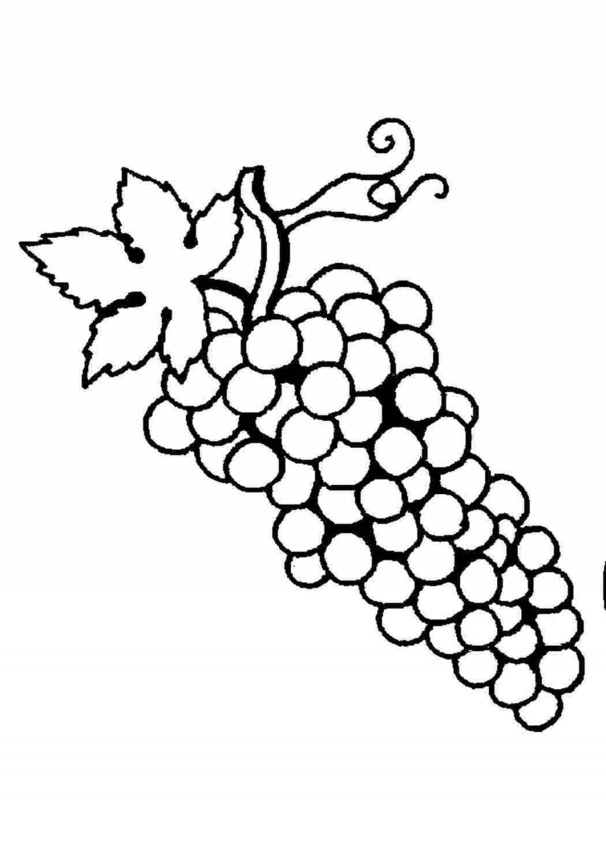 Раскраска для детей фрукты виноград