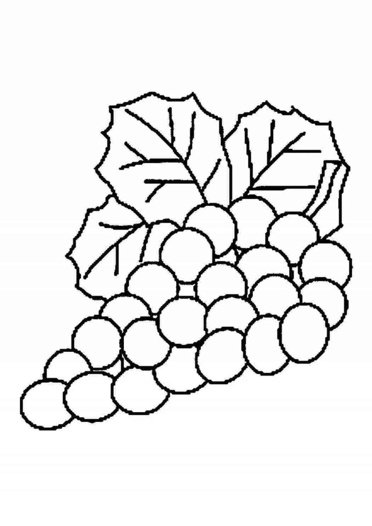 Виноград картинка для детей раскраска