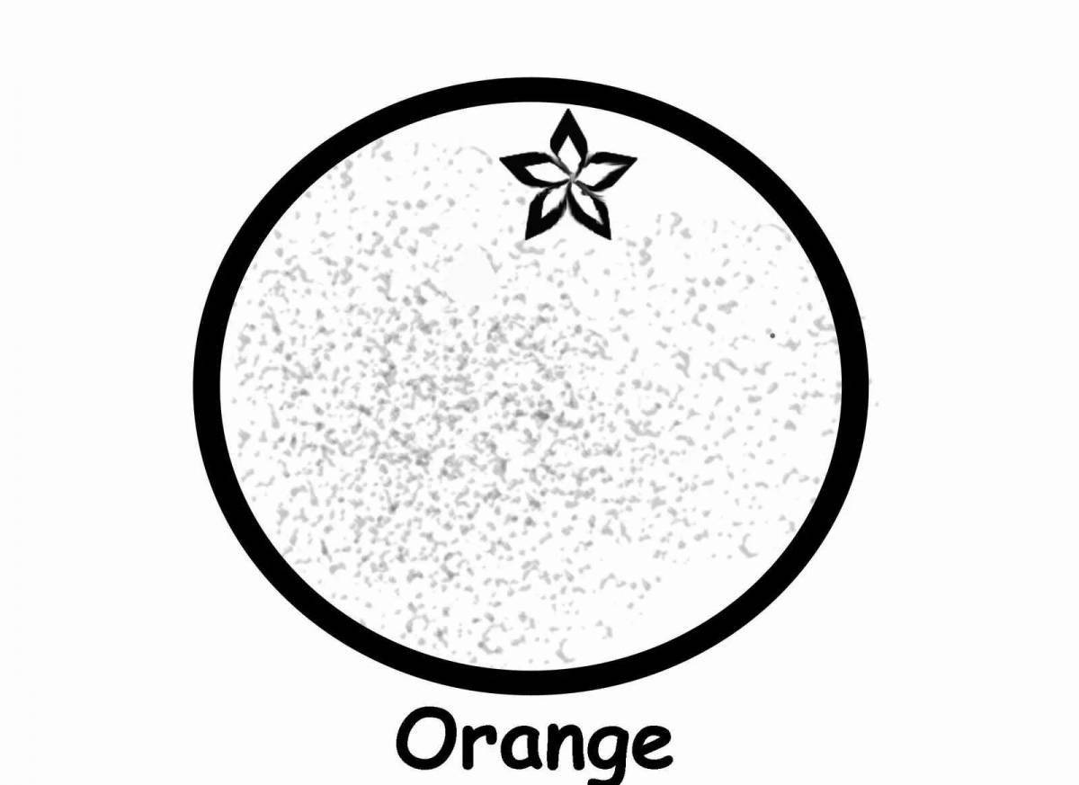 Color-frenzy orange coloring page for children 3-4 years old