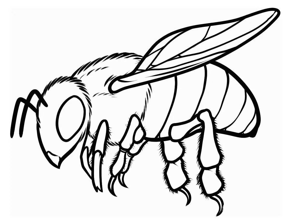 Amazing bee coloring page for 6-7 year olds
