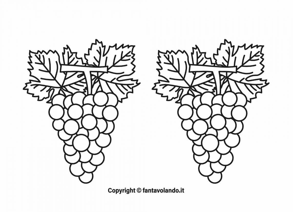 Восхитительная страница раскраски винограда для pre-k