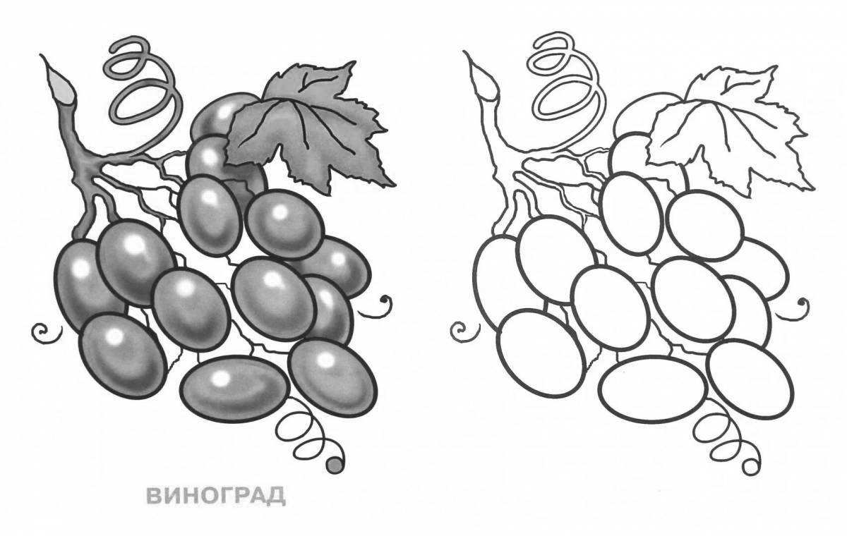 Раскраска «великолепный виноград» для самых маленьких