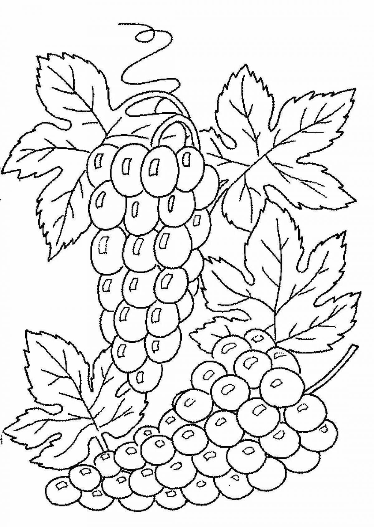 Amazing grape coloring page for kids