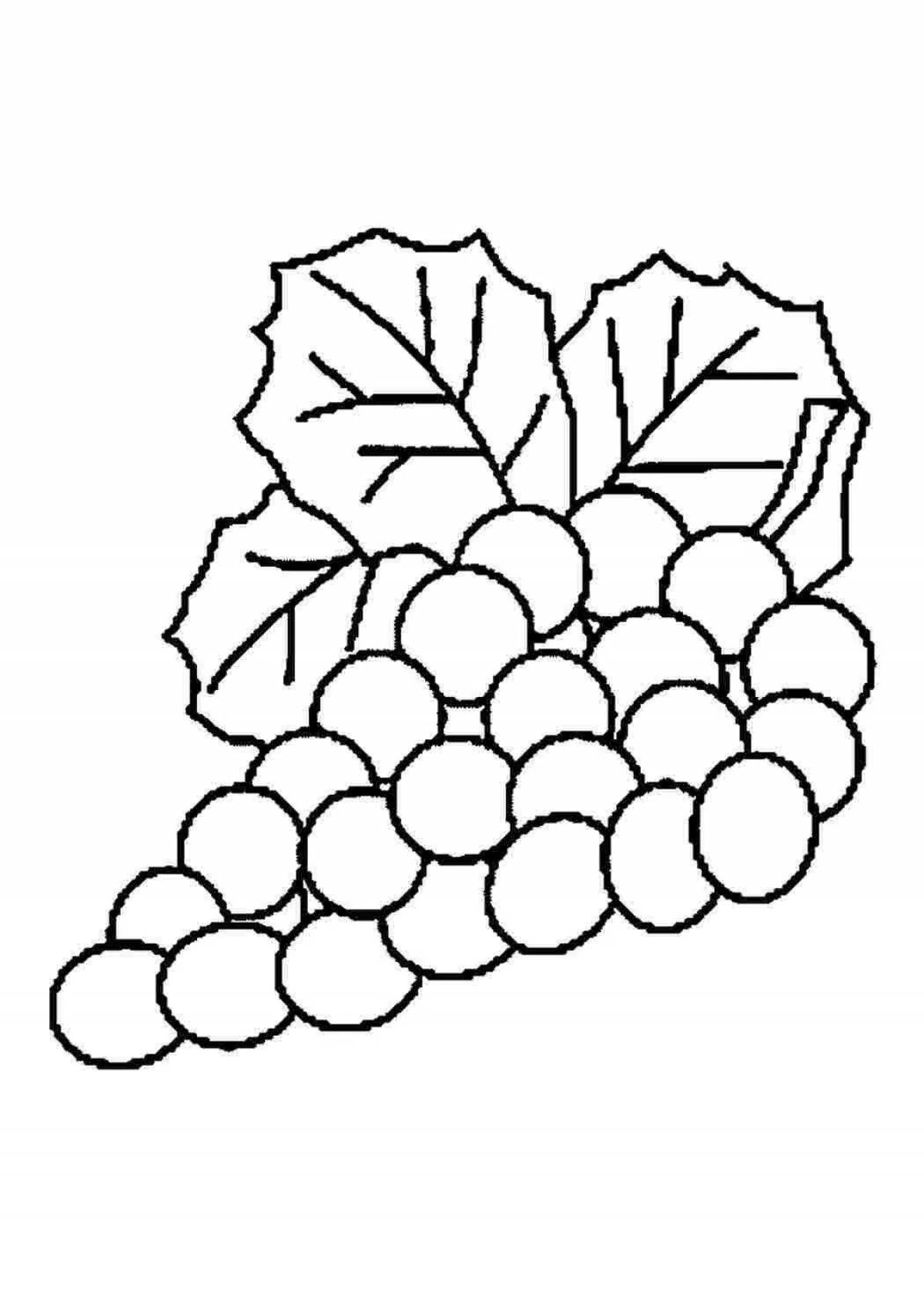 Dazzling Grape Coloring Page for Toddlers
