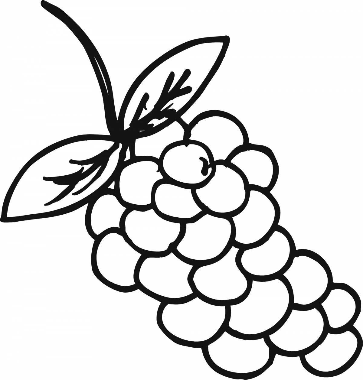 Shining grapes coloring book for babies
