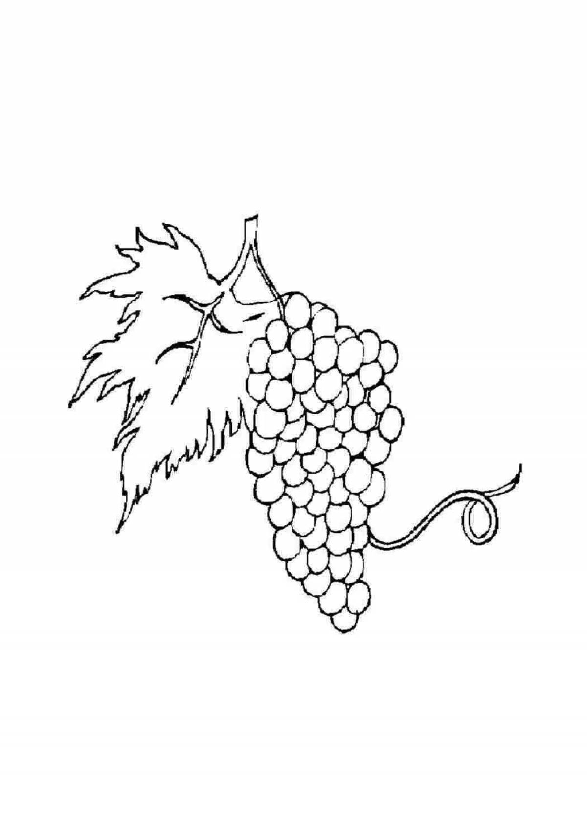 Pre-k glossy grapes coloring page