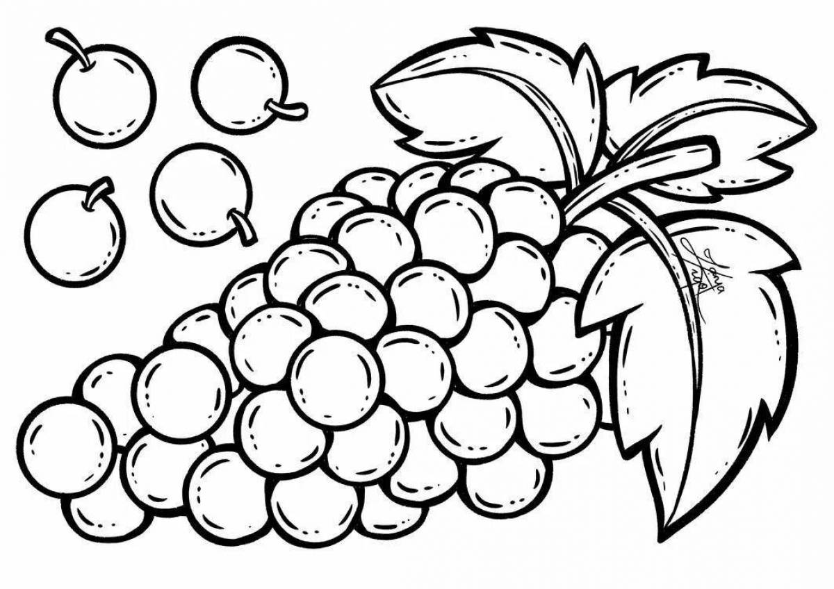 Cute grapes coloring book for 3-4 year olds
