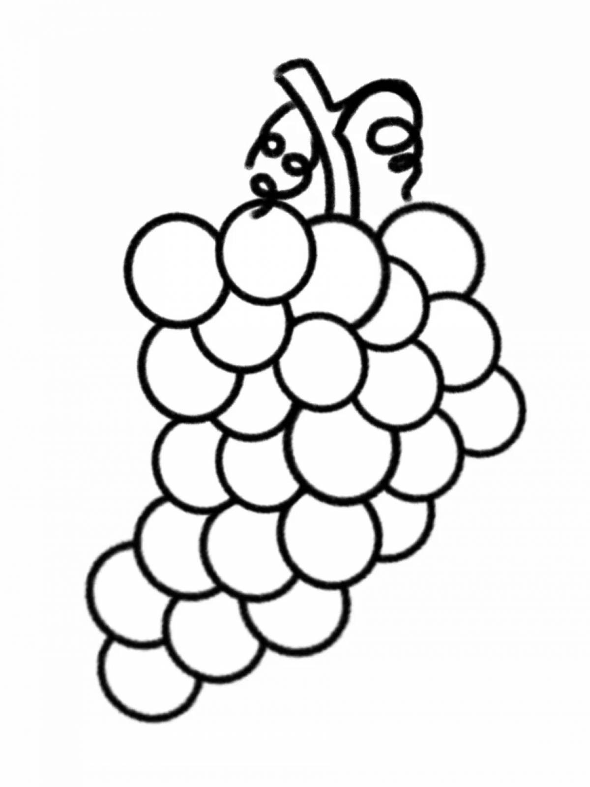 Раскраска сладкий виноград для малышей