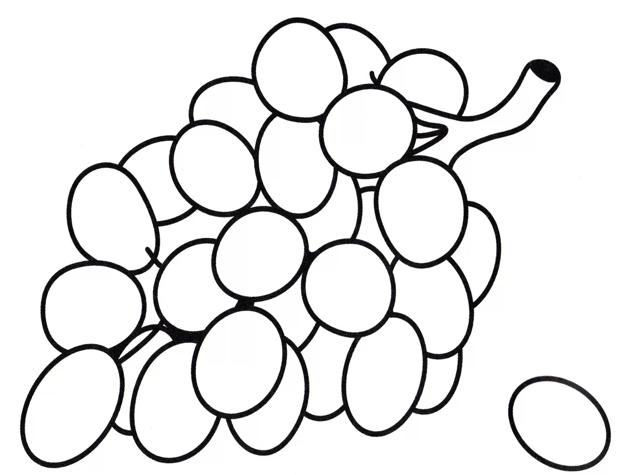 Live Grape Coloring for Toddlers