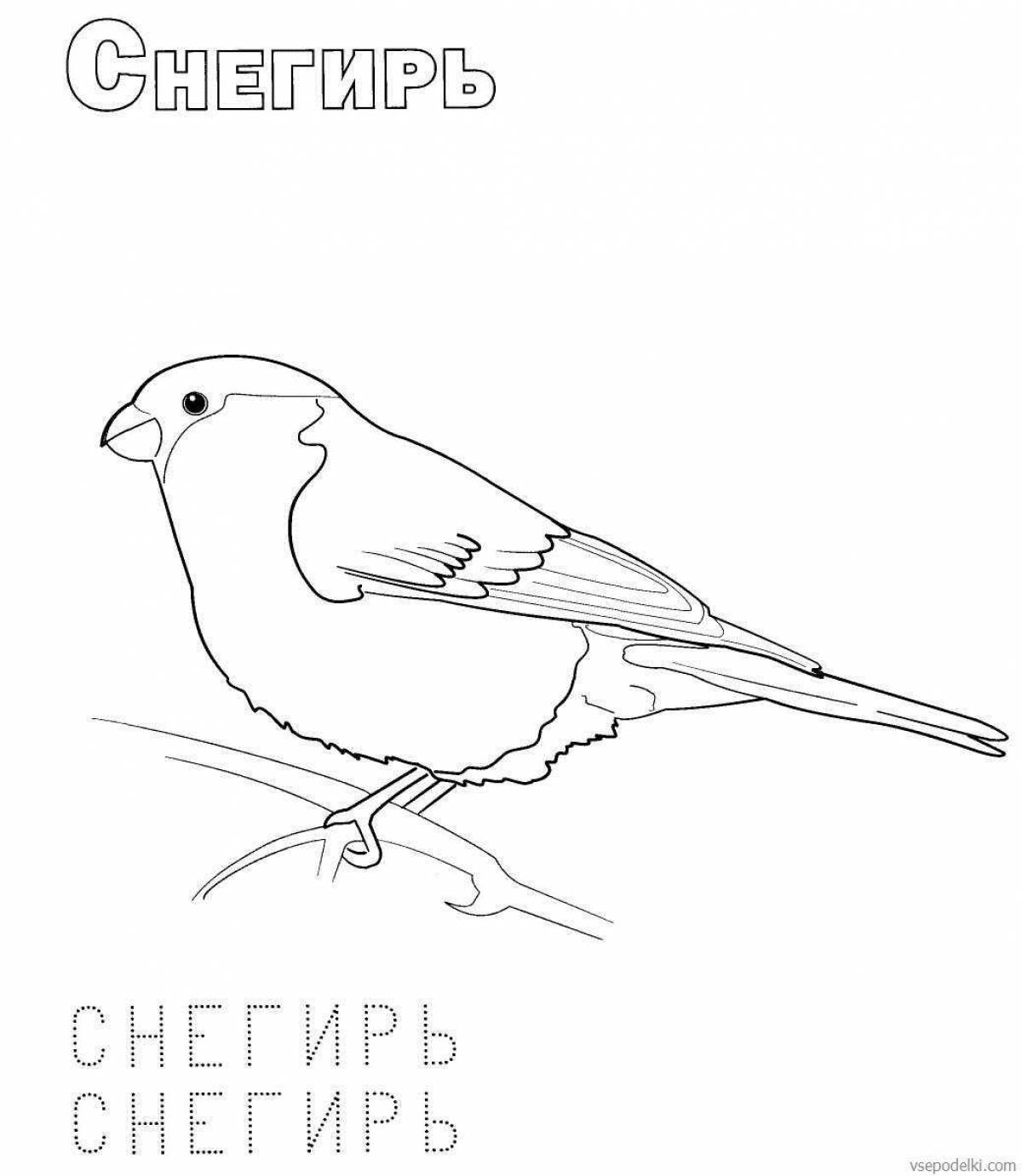 Amazing coloring pages of wintering birds for children 2-3 years old