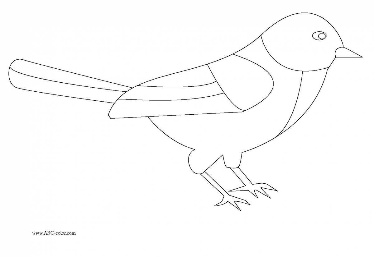 Сказочные зимующие птицы раскраски для детей 2-3 лет