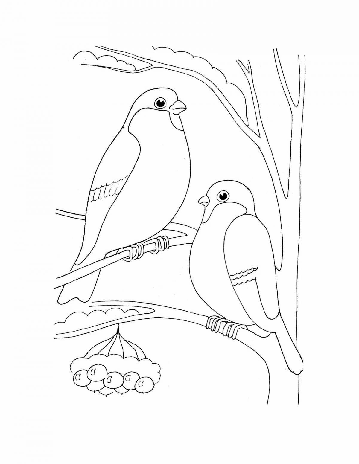 Impressive coloring book of wintering birds for children 2-3 years old