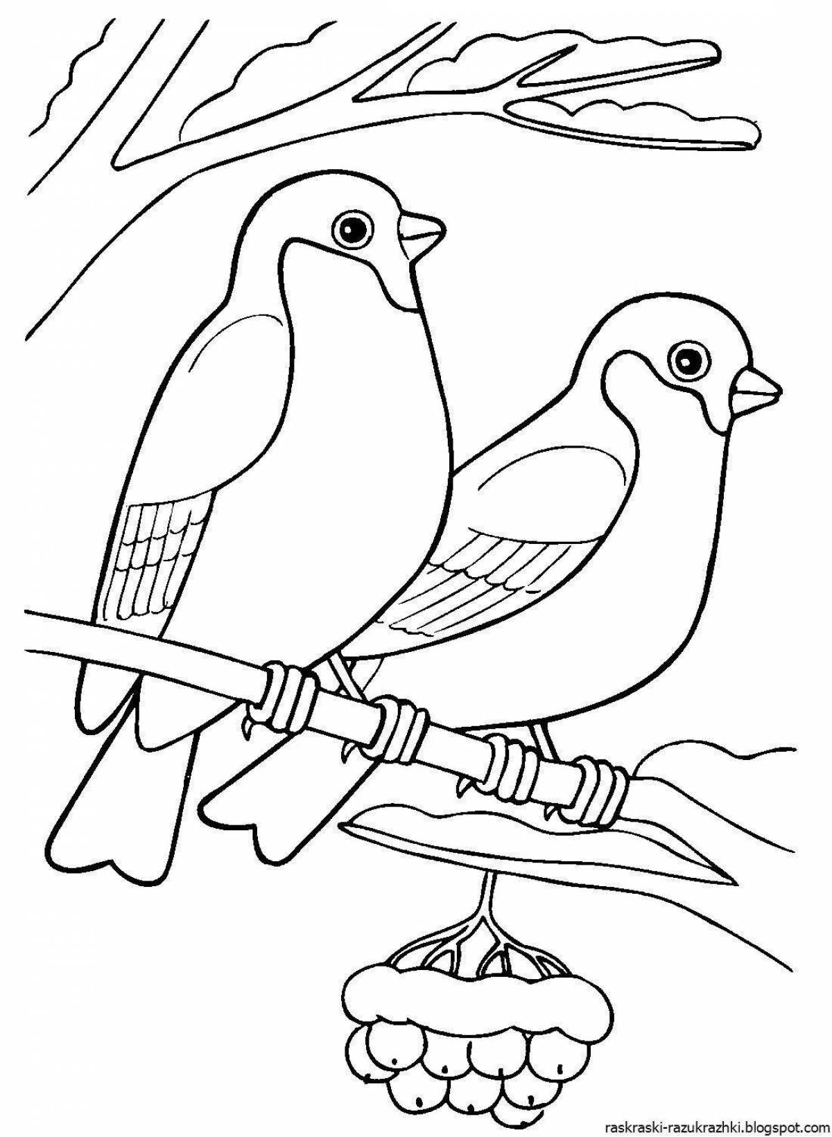 Раскраска экзотические зимующие птицы для детей 2-3 лет