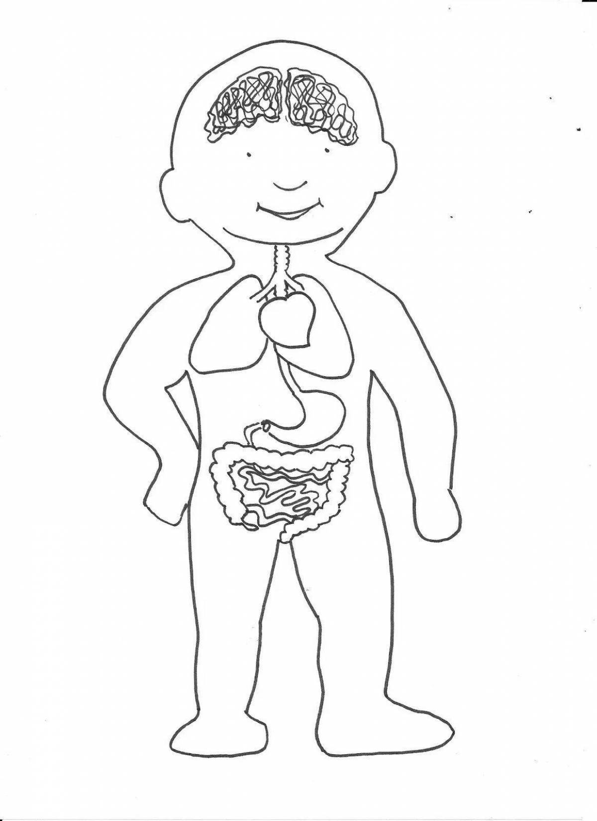 Inspirational human body coloring book with internal organs for kids