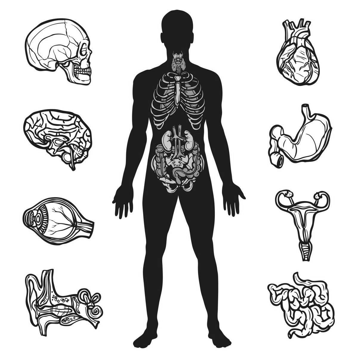 Glitter coloring book of the human body with internal organs for children