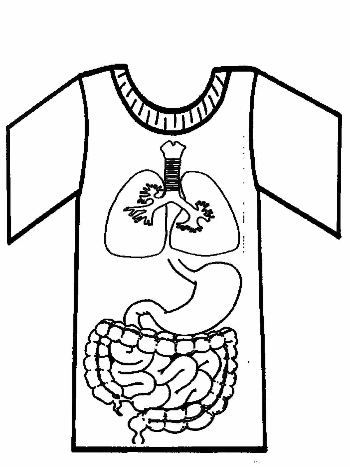 Увлекательная раскраска человеческое тело с внутренними органами для детей