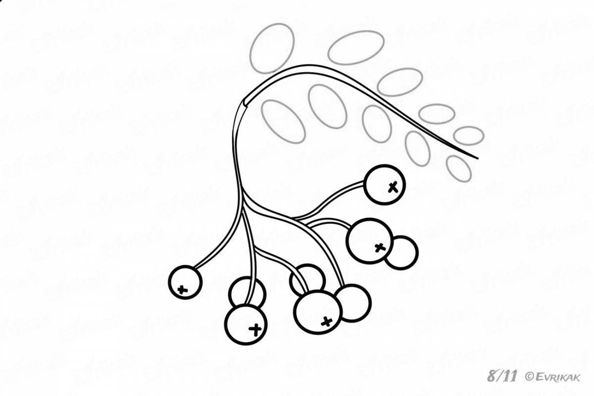 Colourful rowan twig coloring page for toddlers