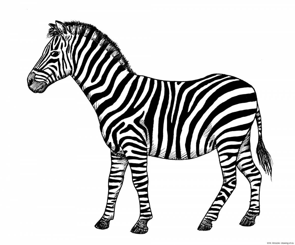 Playful zebra coloring page for kids