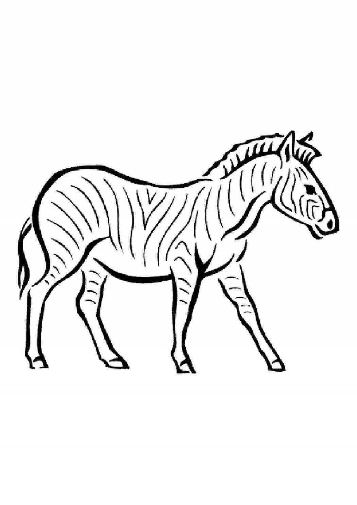 Exciting zebra coloring for kids