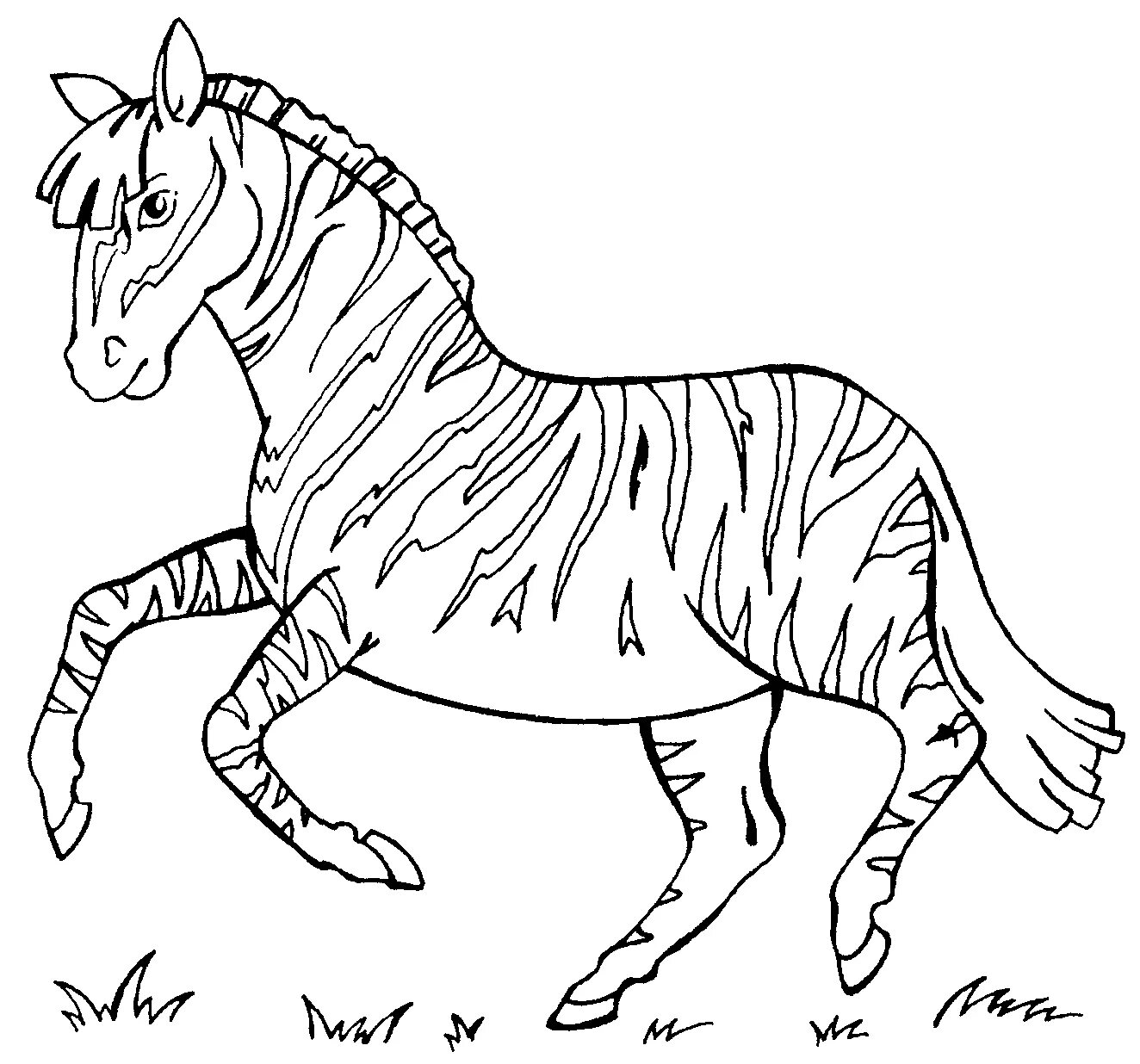 Ослепительная зебра-раскраска для малышей