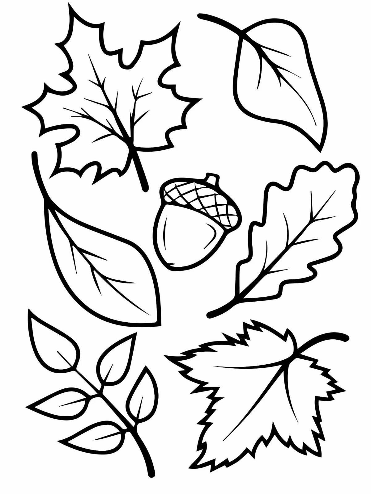 Elegant autumn coloring for children 6-7 years old