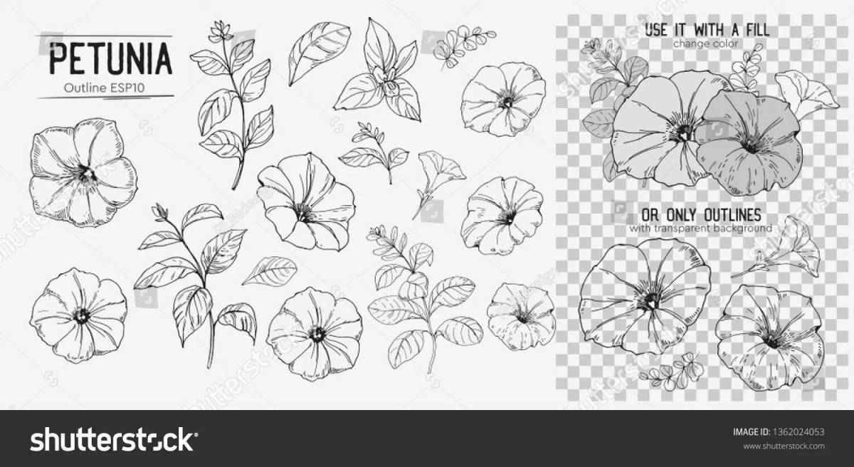 Петунии рисунок карандашом