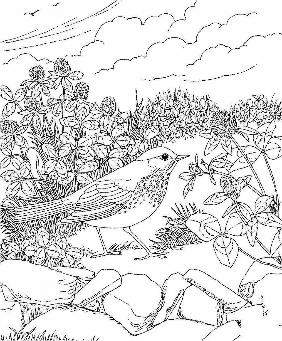 Photo Coloring page joyful environment