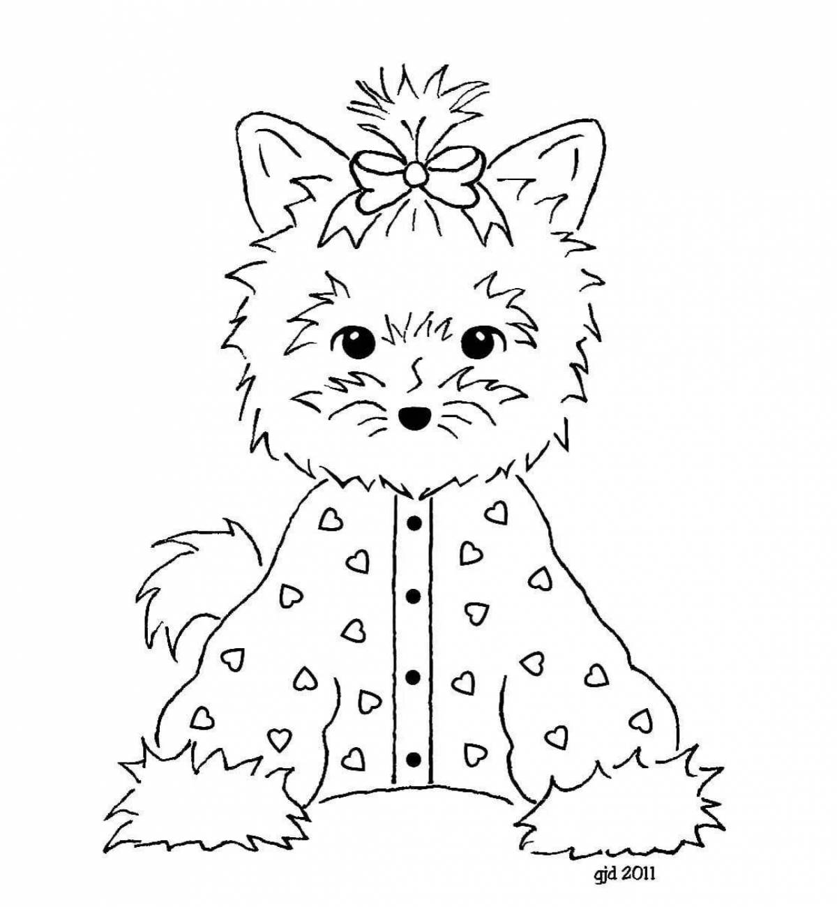 Coloring soft yorkie