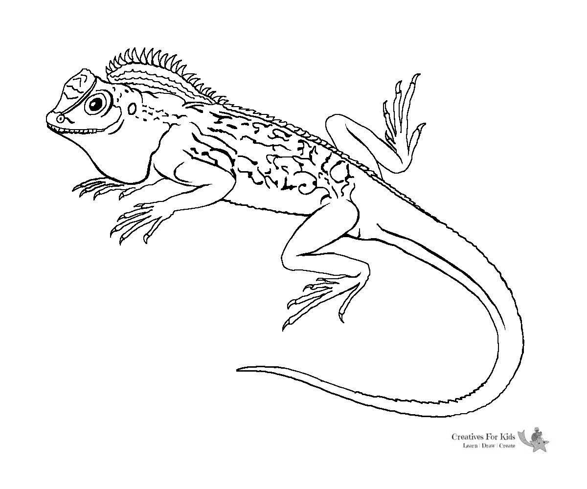 Раскраска Раскраска экзотический василиск