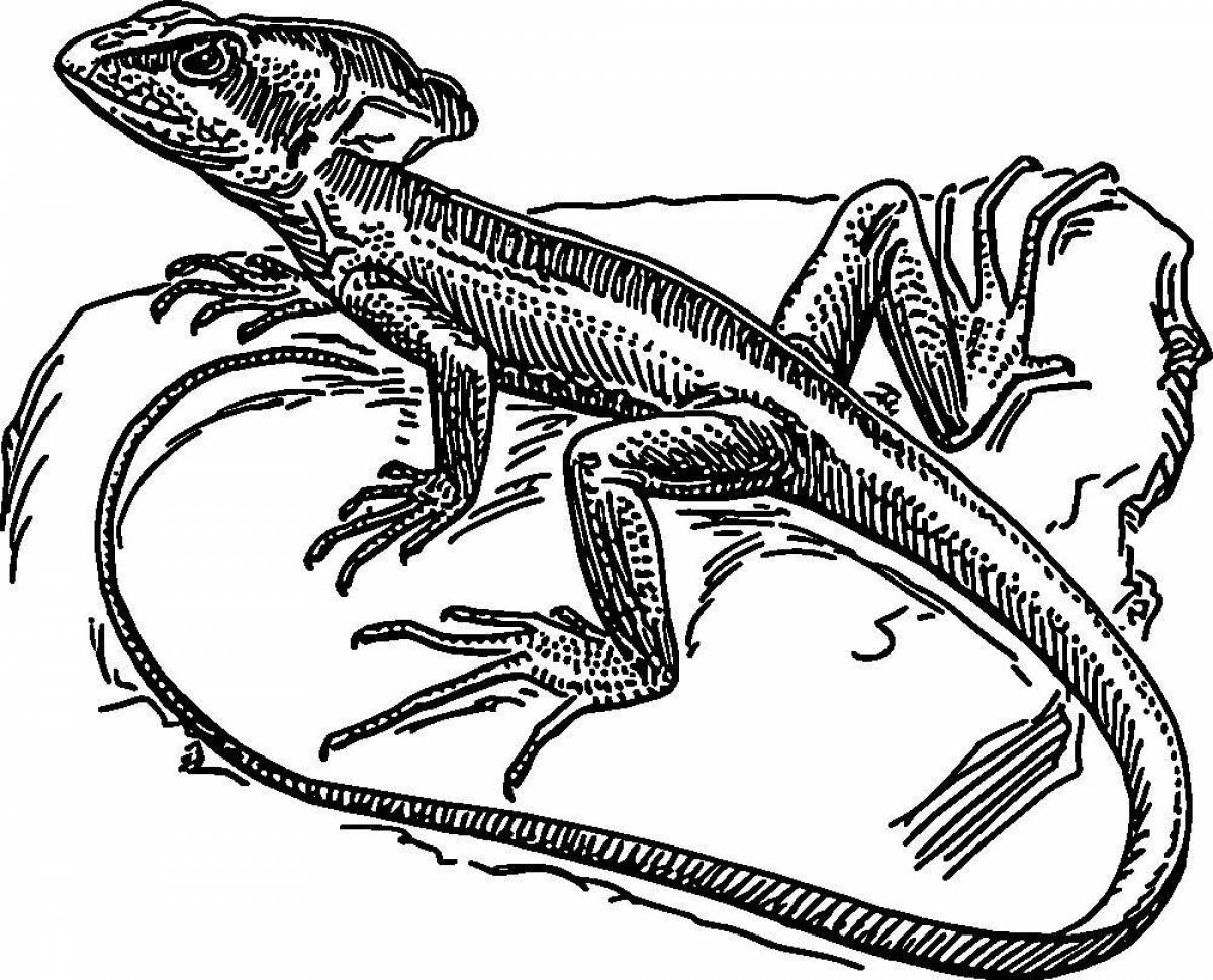 Раскраска Раскраска яркий василиск