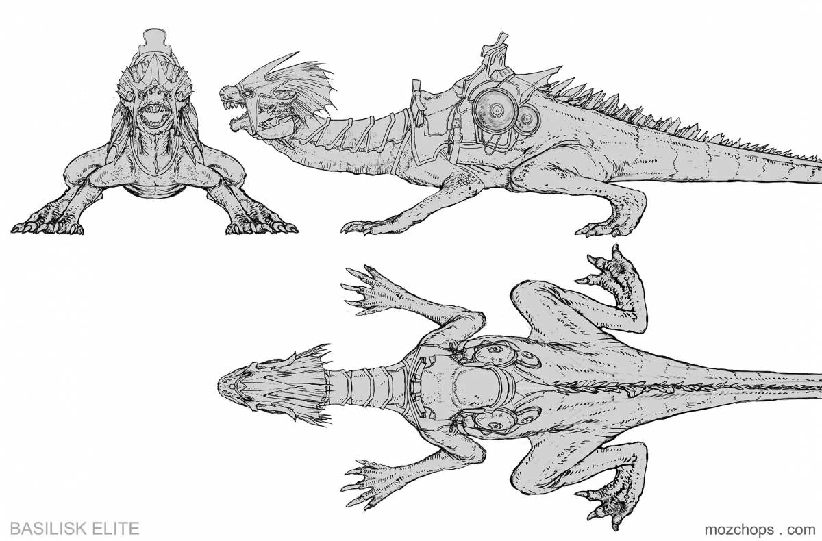 Раскраска Чудесный василиск раскраска