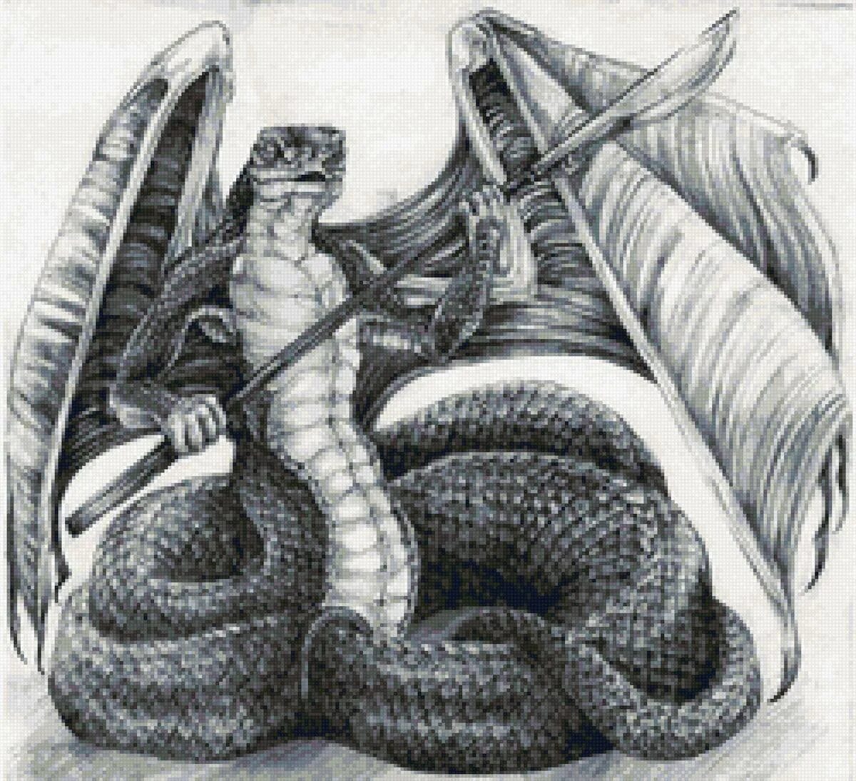 Раскраска Выдающаяся раскраска василиск