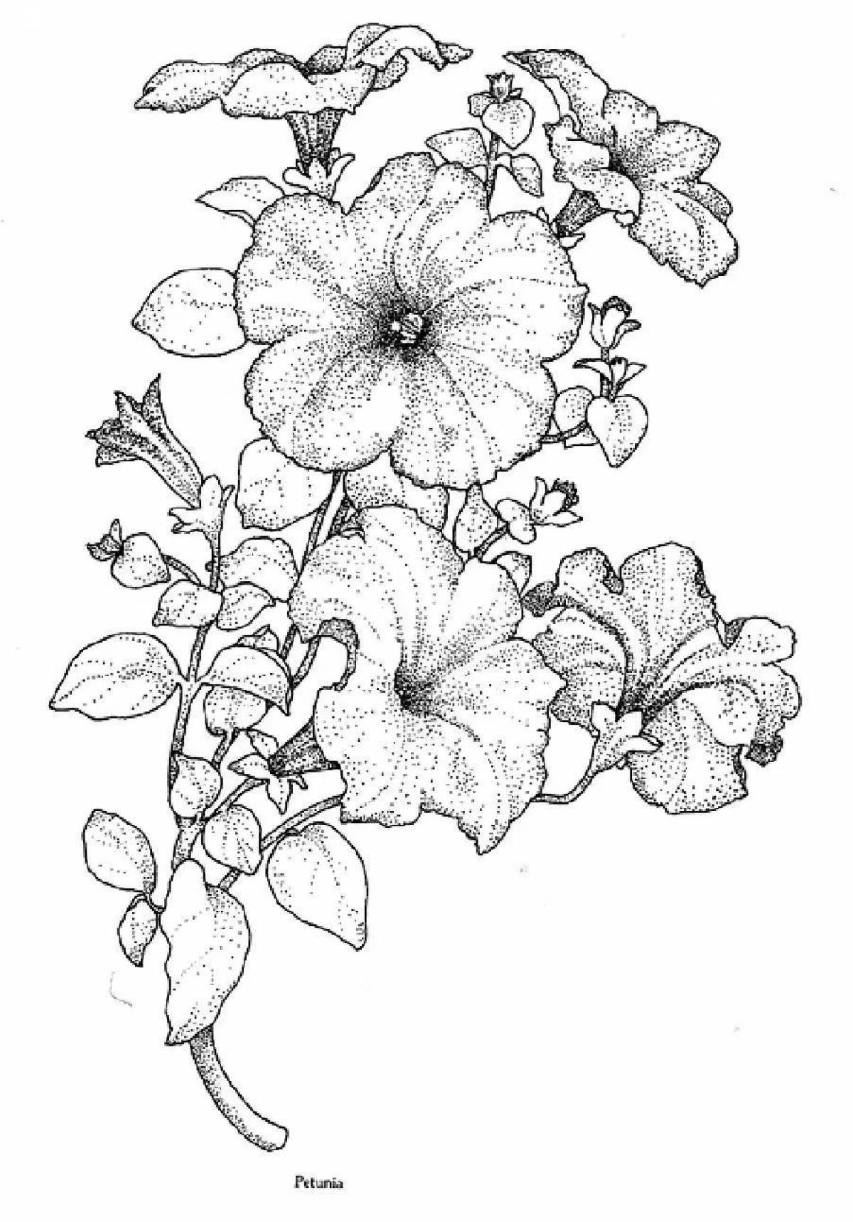 Adorable petunias coloring page