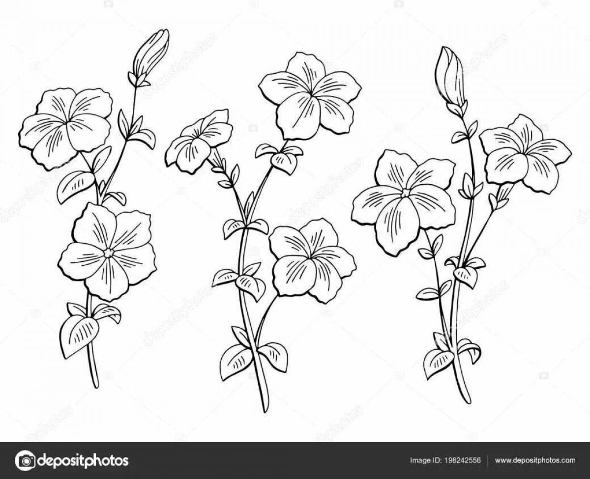 Lovely petunias coloring page