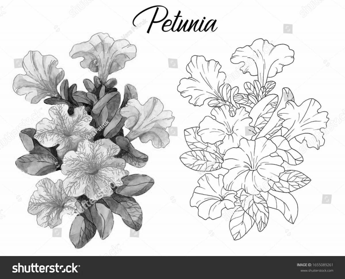 Exquisite petunia coloring book