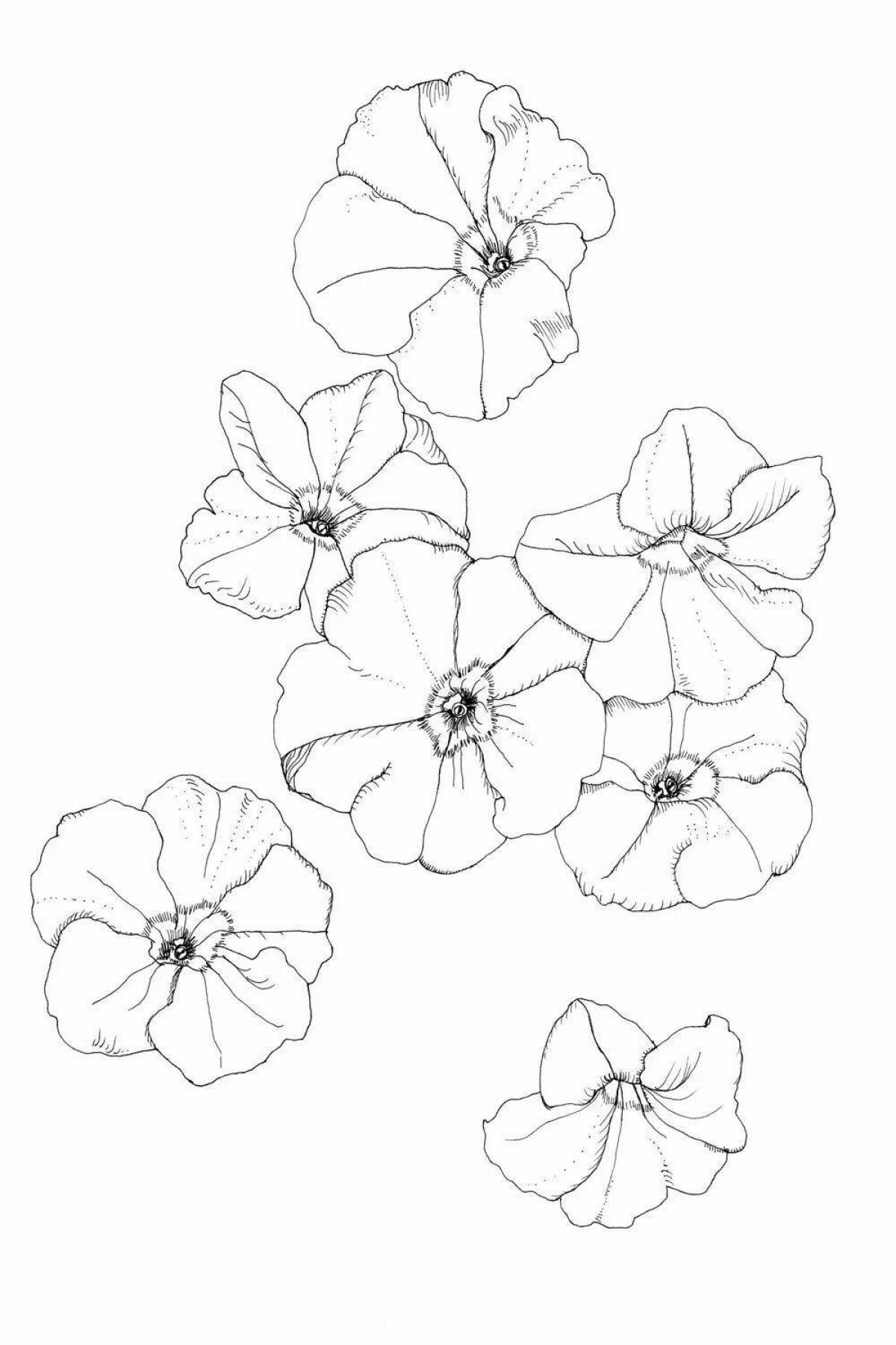 Blessed petunia coloring page