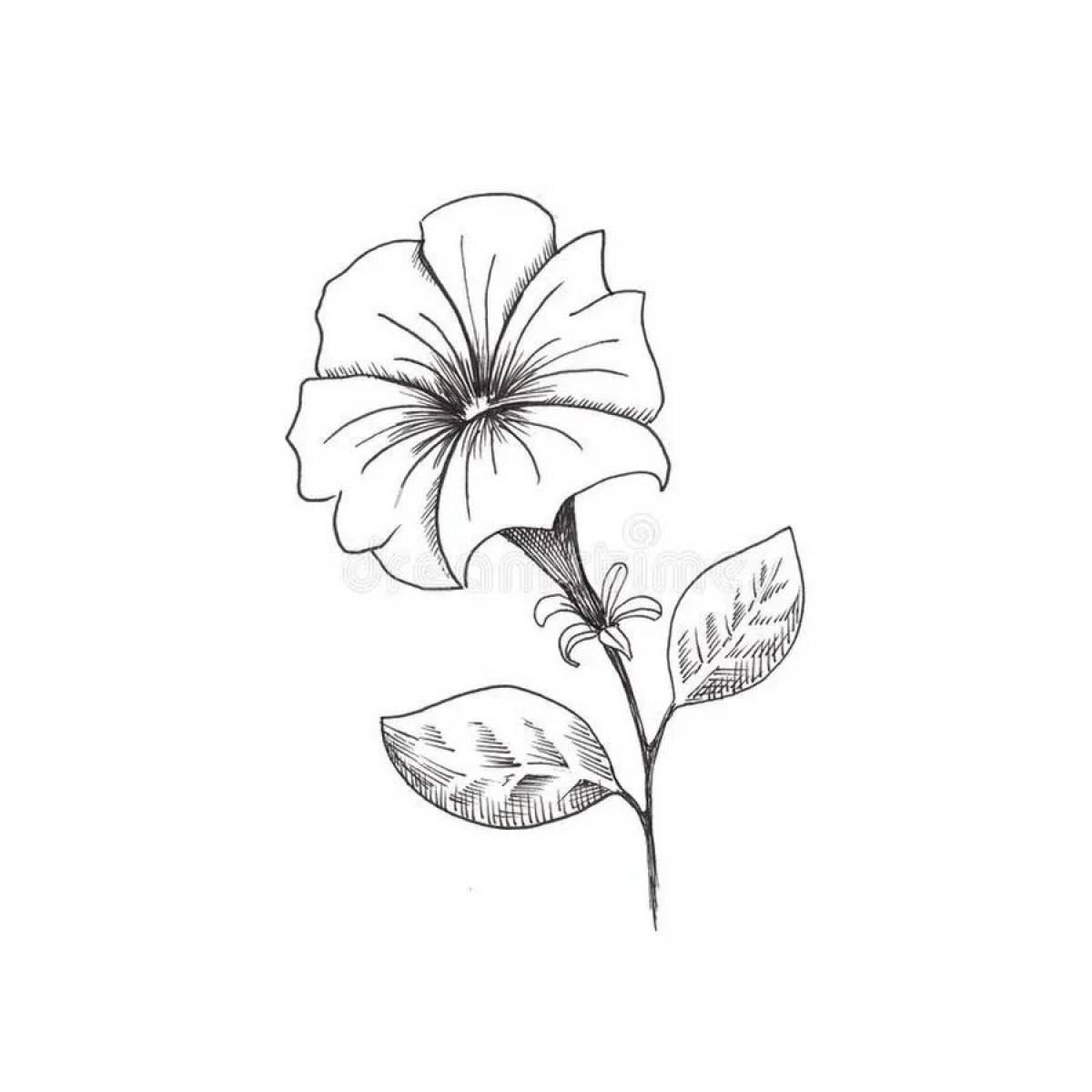 Awesome petunias coloring page