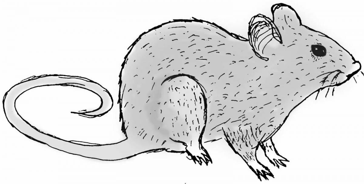 Playful rodent coloring page