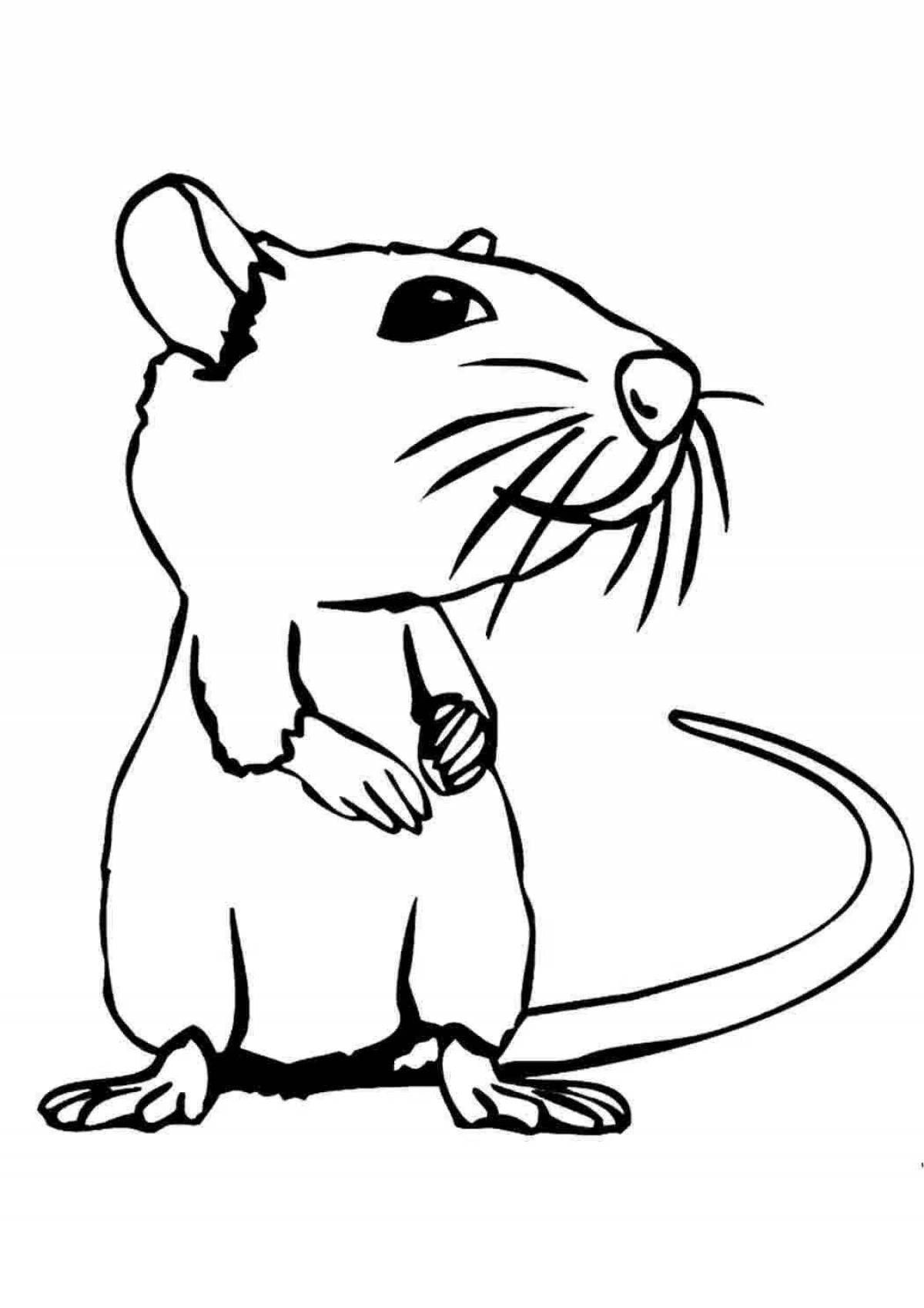 Cute rodent coloring page