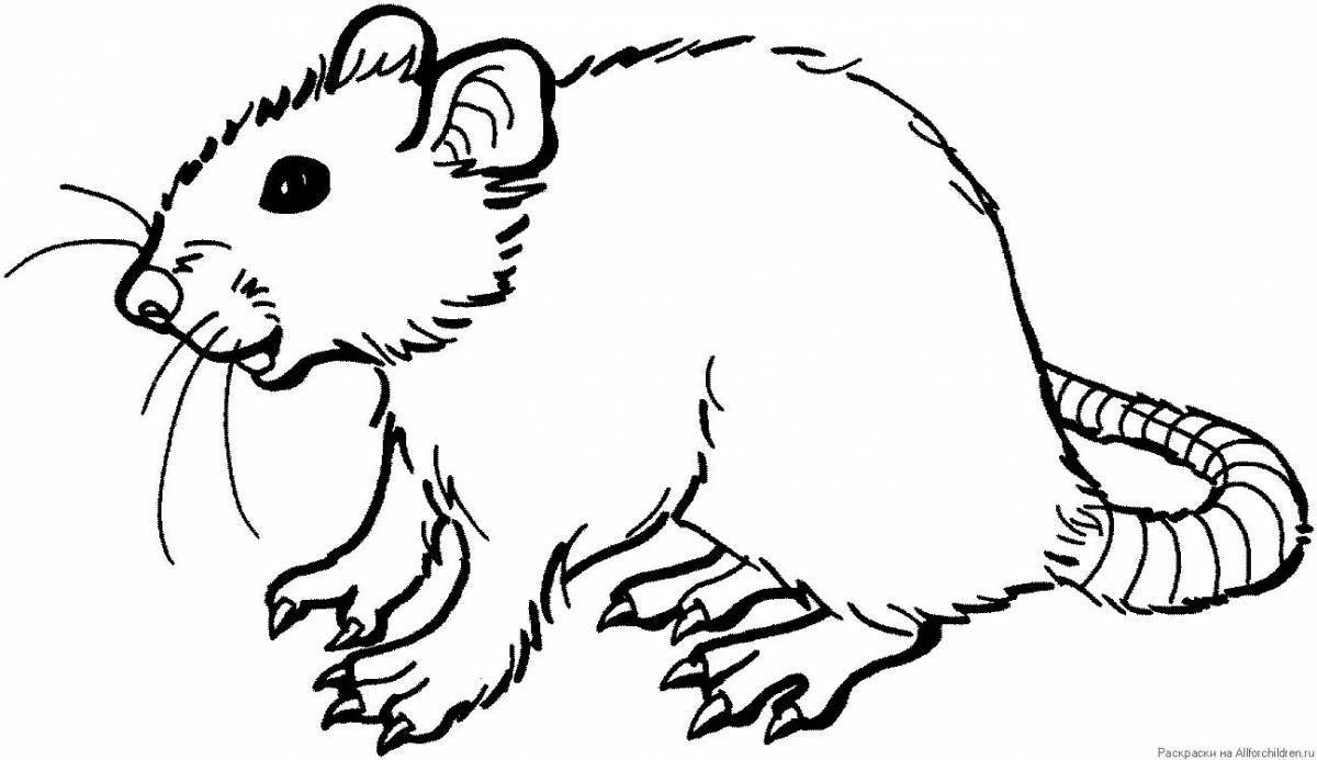 Vibrant rodent coloring page